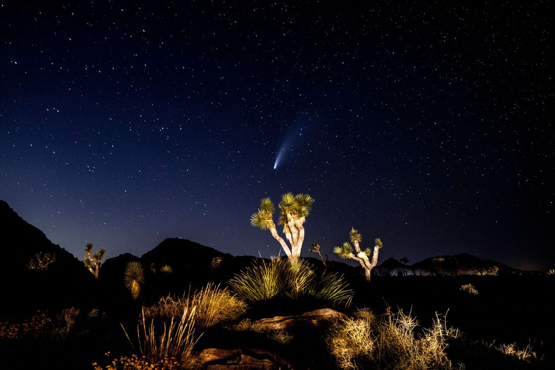 The Comet NEOWISE is seen after sunset passing over the Joshua Tree National Park, California